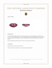 0.70 Ct. Red Garnet from Ceylon (Sri Lanka) Appraisal