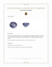 0.48 Ct. Greyish Violet Spinel from Ceylon (Sri Lanka) Appraisal
