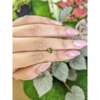 0.95 Ct. Tourmaline from Ceylon (Sri Lanka) Life Style