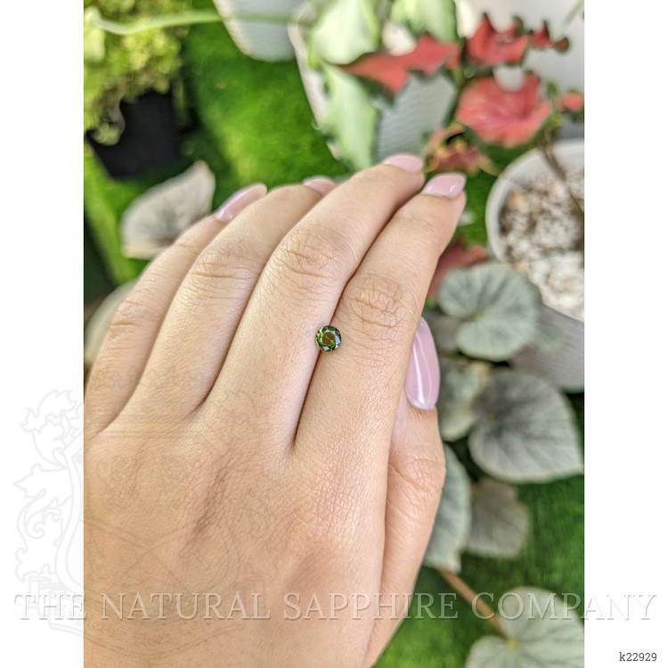 0.58 Ct. Tourmaline from Ceylon (Sri Lanka)