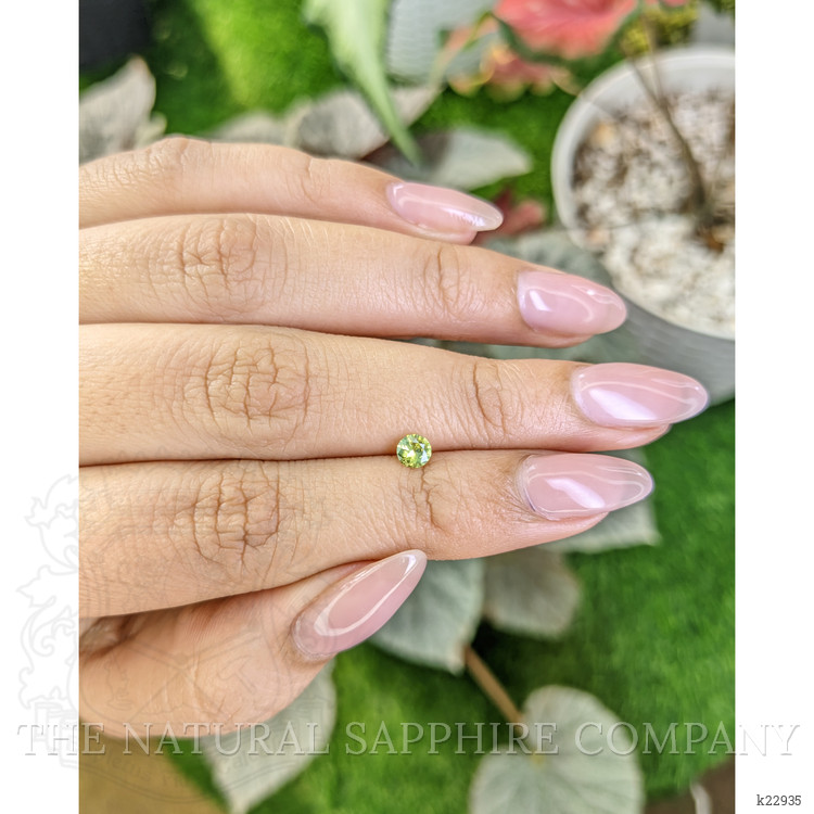 0.26 Ct. Chrysoberyl from Ceylon (Sri Lanka)