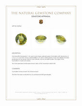 1.50 Ct. Yellowish Green Tourmaline from Ceylon (Sri Lanka) Appraisal