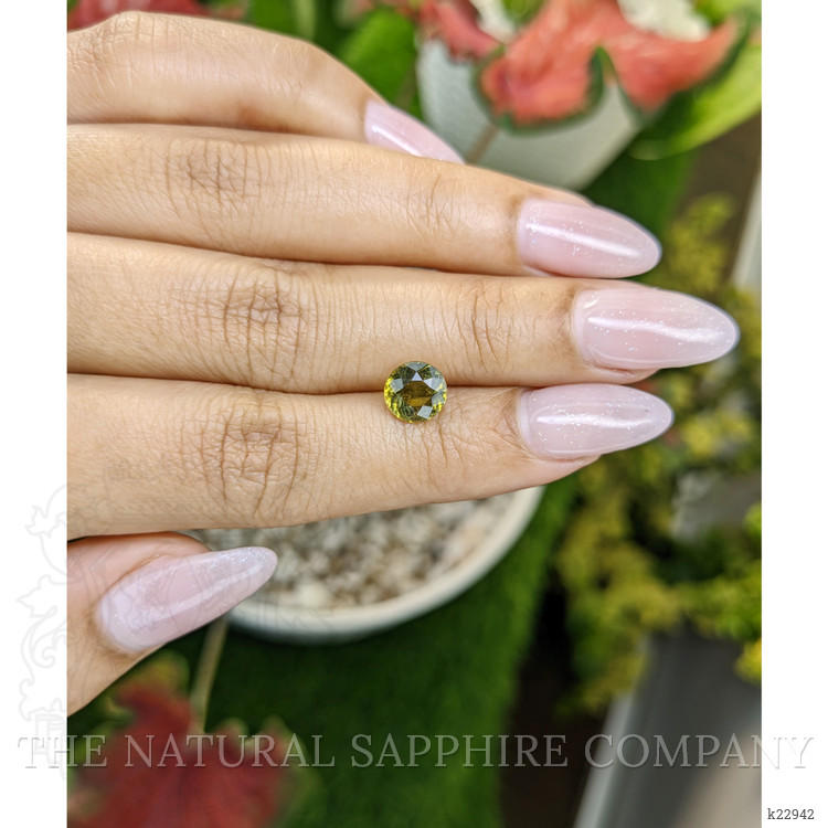 1.50 Ct. Yellowish Green Tourmaline from Ceylon (Sri Lanka)