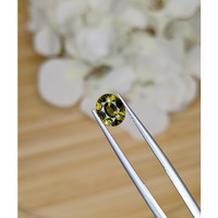 1.60 Ct. Tourmaline from Ceylon (Sri Lanka) Life Style