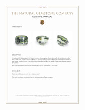 1.21 Ct. Green Tourmaline from Ceylon (Sri Lanka) Appraisal