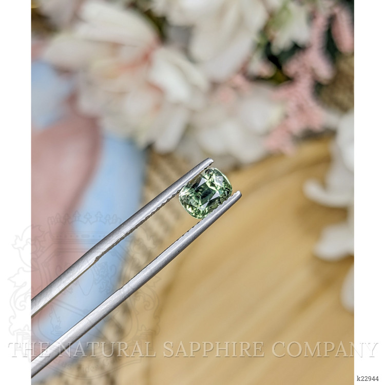 1.21 Ct. Tourmaline from Ceylon (Sri Lanka)