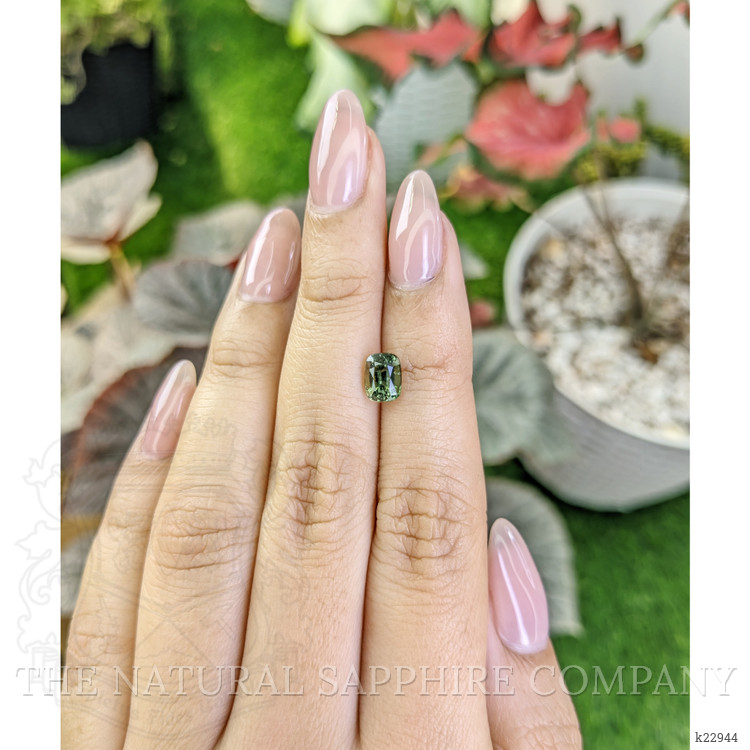 1.21 Ct. Tourmaline from Ceylon (Sri Lanka)