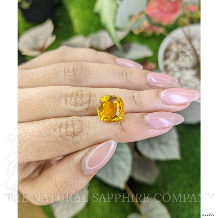 6.57 Ct. Citrine from Ceylon (Sri Lanka)