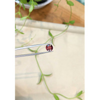 3.40 Ct. Pinkish Red Spinel from Burma (Myanmar) Life Style