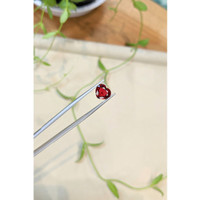 3.35 Ct. Red Spinel from Burma (Myanmar) Life Style