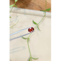 3.10 Ct. Red Spinel from Burma (Myanmar) Life Style