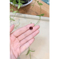 3.95 Ct. Red Spinel from Burma (Myanmar) Life Style