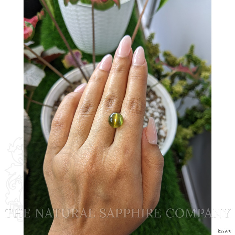 8.26 Ct. Cabochon Chrysoberyl from Ceylon (Sri Lanka)