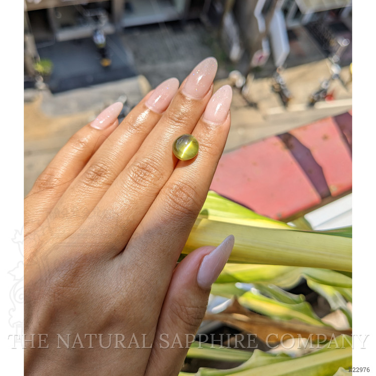 8.26 Ct. Cabochon Chrysoberyl from Ceylon (Sri Lanka)