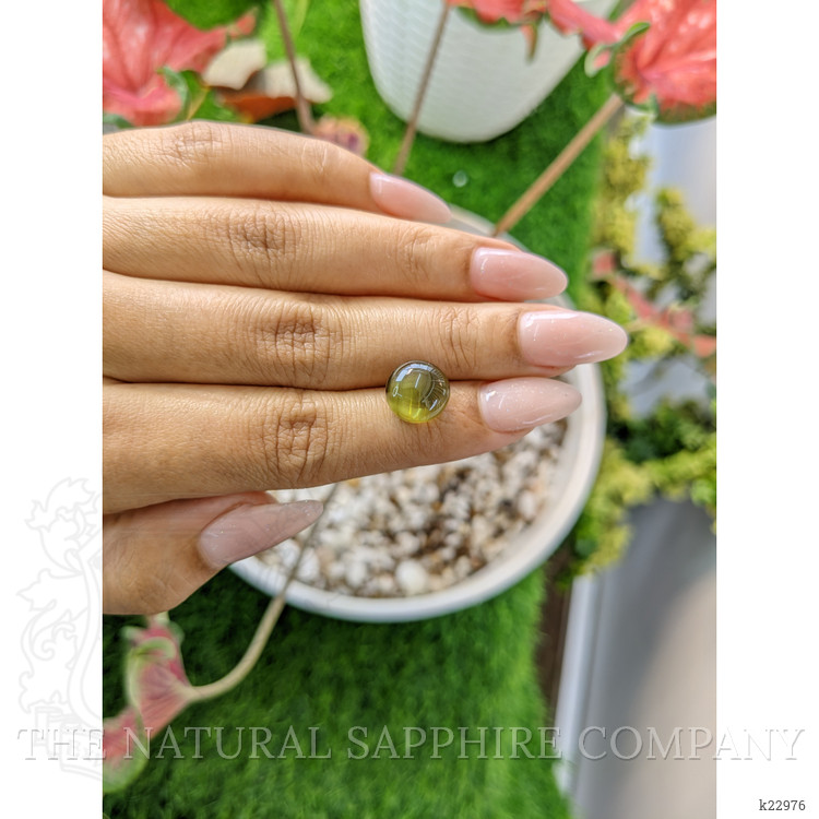 8.26 Ct. Cabochon Chrysoberyl from Ceylon (Sri Lanka)