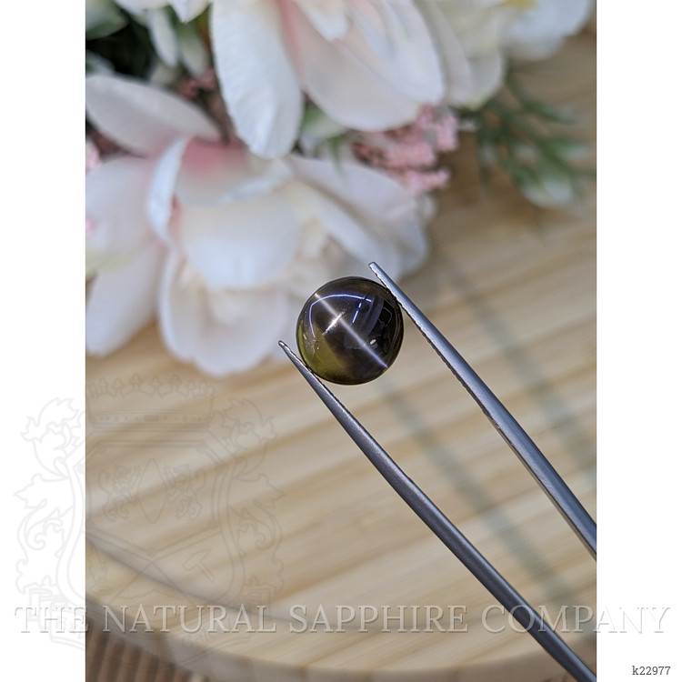 8.65 Ct. Cabochon Chrysoberyl from Ceylon (Sri Lanka)