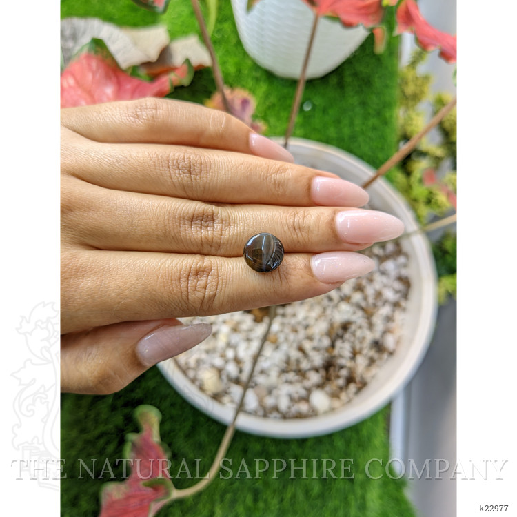 8.65 Ct. Cabochon Chrysoberyl from Ceylon (Sri Lanka)