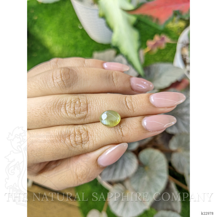 4.37 Ct. Cabochon Chrysoberyl from Ceylon (Sri Lanka)