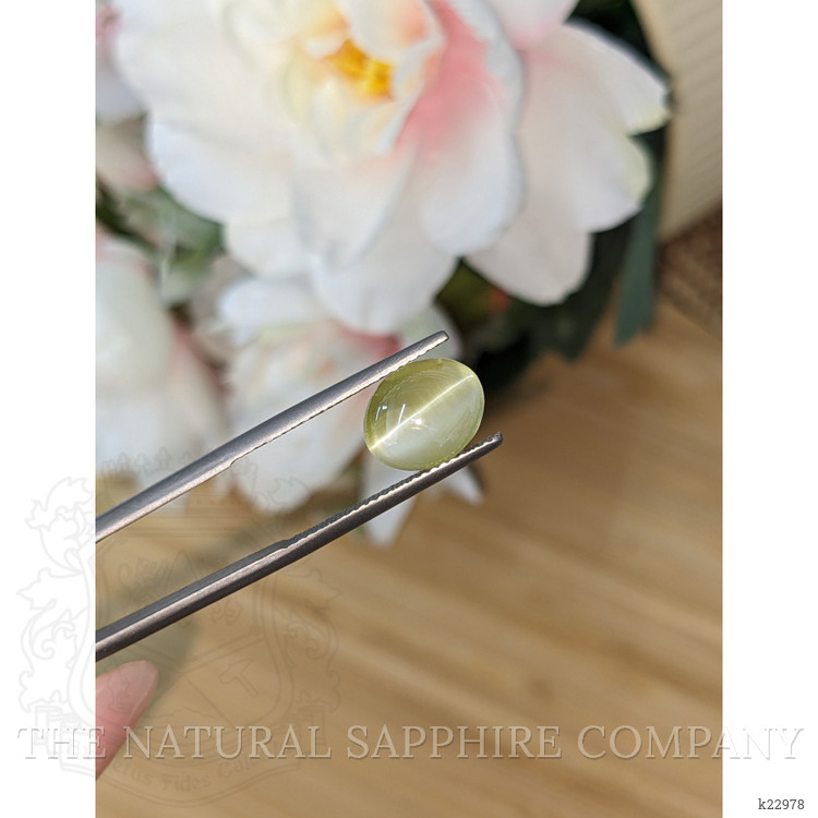 4.37 Ct. Cabochon Chrysoberyl from Ceylon (Sri Lanka)