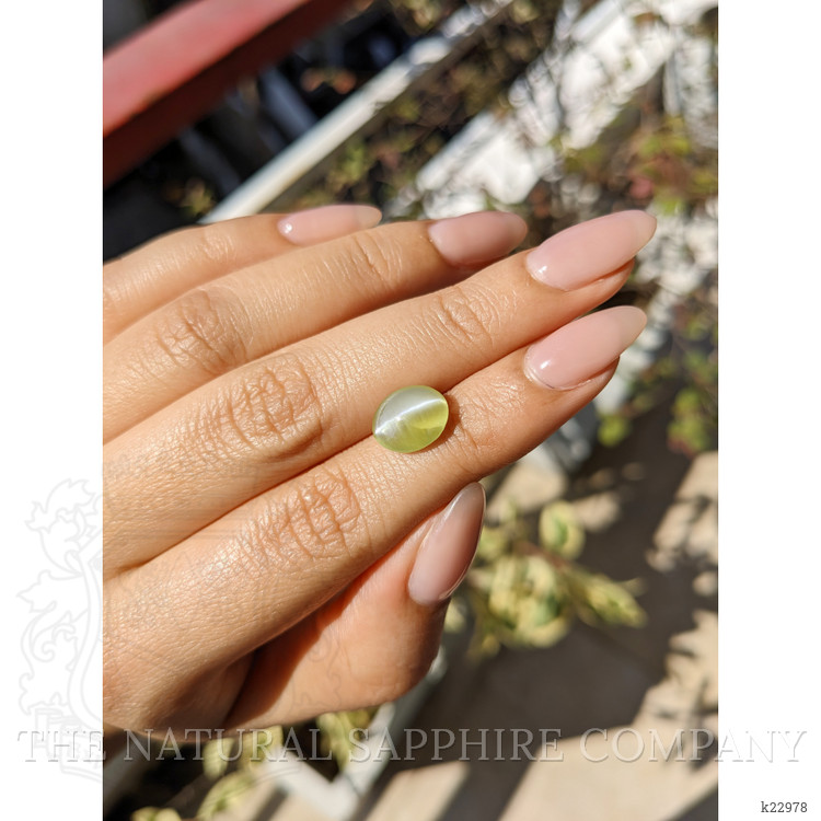 4.37 Ct. Cabochon Chrysoberyl from Ceylon (Sri Lanka)