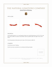 13.15 Ct. Coral from China Appraisal