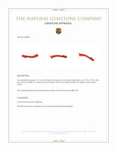 13.15 Ct. Coral from China Appraisal