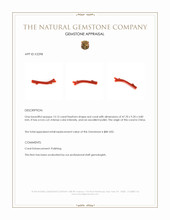 13.15 Ct. Coral from China Appraisal