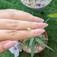 1.21 Ct. Greenish Yellow Cabochon Chrysoberyl from Ceylon (Sri Lanka) Life Style