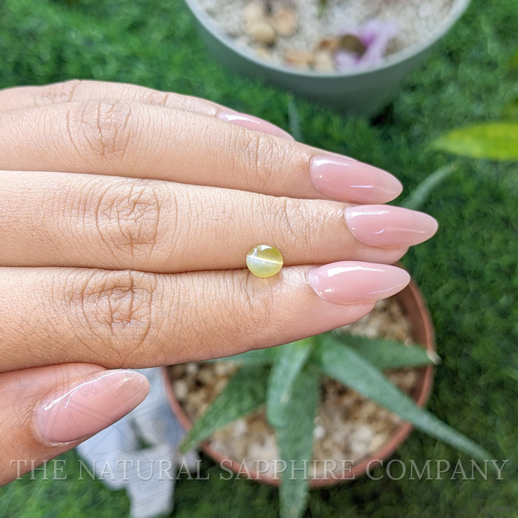 1.21 Ct. Greenish Yellow Cabochon Chrysoberyl from Ceylon (Sri Lanka)