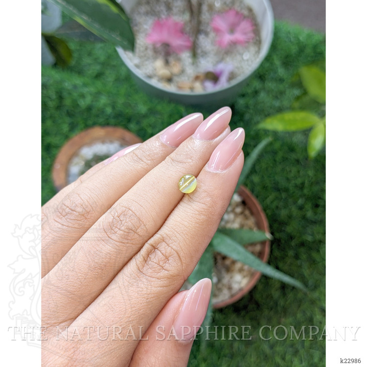1.21 Ct. Greenish Yellow Cabochon Chrysoberyl from Ceylon (Sri Lanka)
