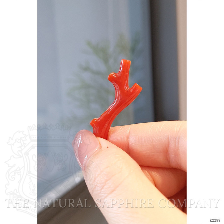 11.80 Ct. Coral from China