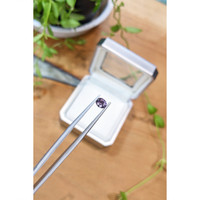 0.56 Ct. Spinel from Ceylon (Sri Lanka) Life Style