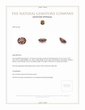 1.76 Ct. Zircon from Ceylon (Sri Lanka) Appraisal