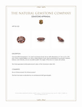 1.76 Ct. Zircon from Ceylon (Sri Lanka) Appraisal