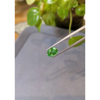 3.01 Ct. Tsavorite Garnet from Tanzania Life Style