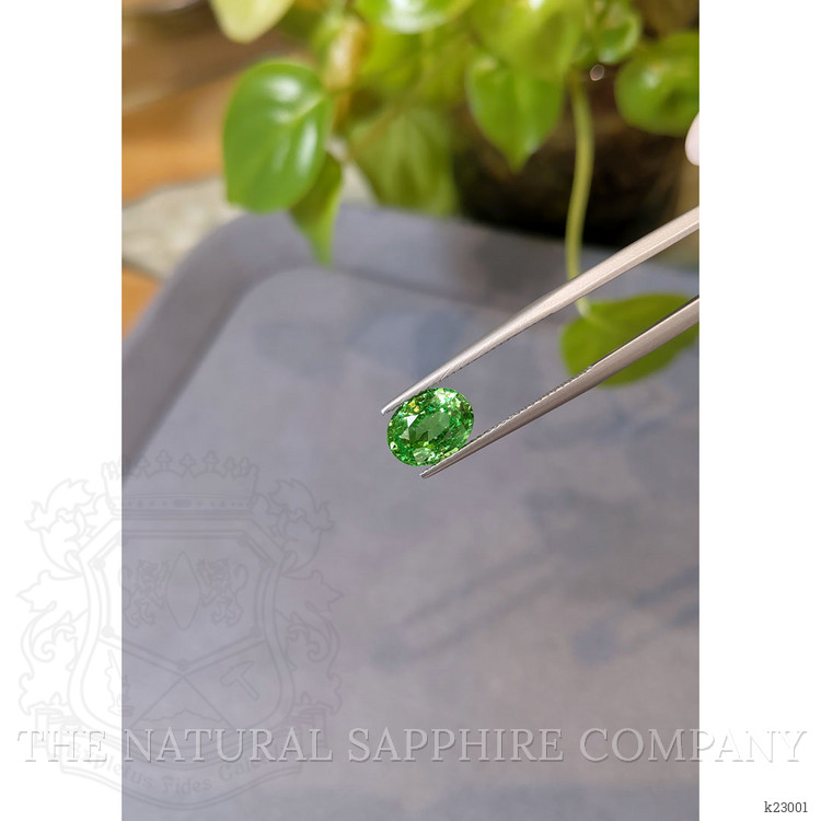 3.01 Ct. Tsavorite Garnet from Tanzania
