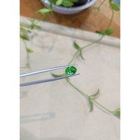 2.67 Ct. Tsavorite Garnet from Tanzania Life Style