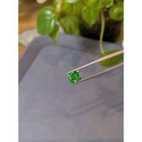 1.54 Ct. Tsavorite Garnet from Tanzania Life Style