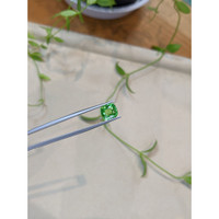 3.03 Ct. Tsavorite Garnet from Tanzania Life Style