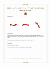 12.00 Ct. Coral from China Appraisal