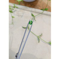 2.02 Ct. Tsavorite Garnet from Tanzania Life Style