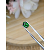 1.03 Ct. Tsavorite Garnet from Tanzania Life Style