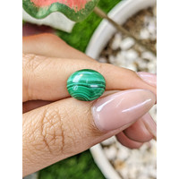 5.35 Ct. Cabochon Malachite from Madagascar Life Style