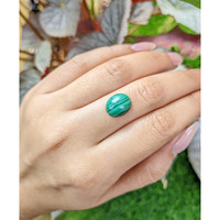 5.35 Ct. Cabochon Malachite from Madagascar Life Style