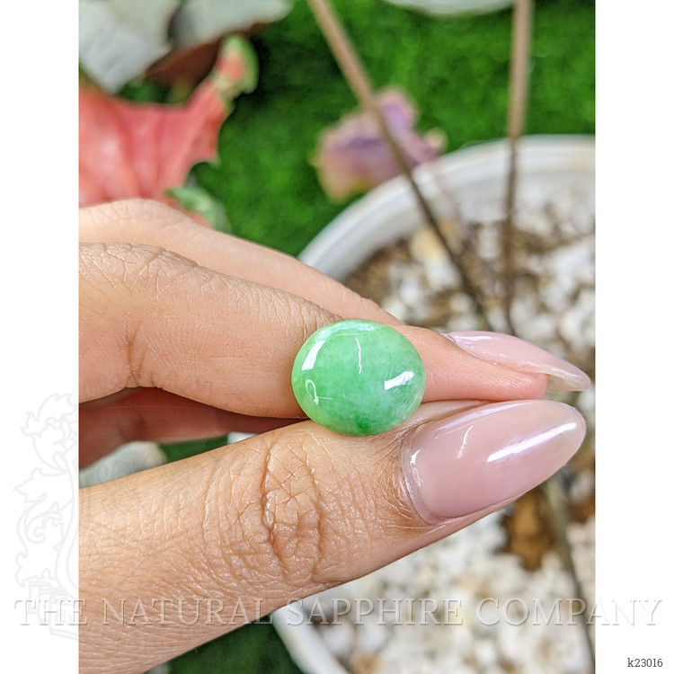 5.50 Ct. Cabochon Jade from Burma (Myanmar)