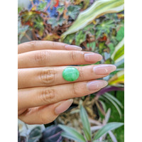 5.50 Ct. Cabochon Jade from Burma (Myanmar) Life Style