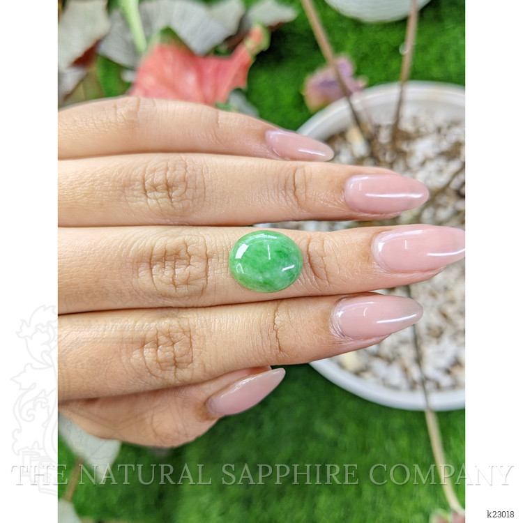 5.66 Ct. Cabochon Jade from Burma (Myanmar)