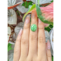 5.66 Ct. Cabochon Jade from Burma (Myanmar) Life Style