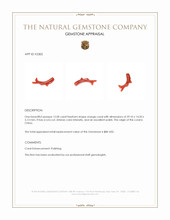 12.00 Ct. Coral from China Appraisal