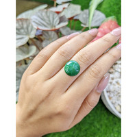 6.53 Ct. Green Cabochon Jade from Burma (Myanmar) Life Style